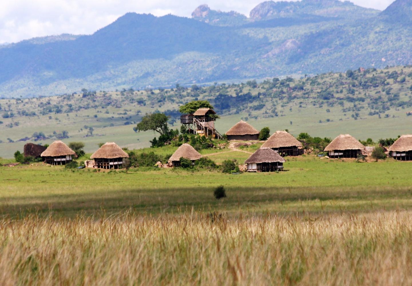 View of Apoka Lodge (Kidepo Uganda)