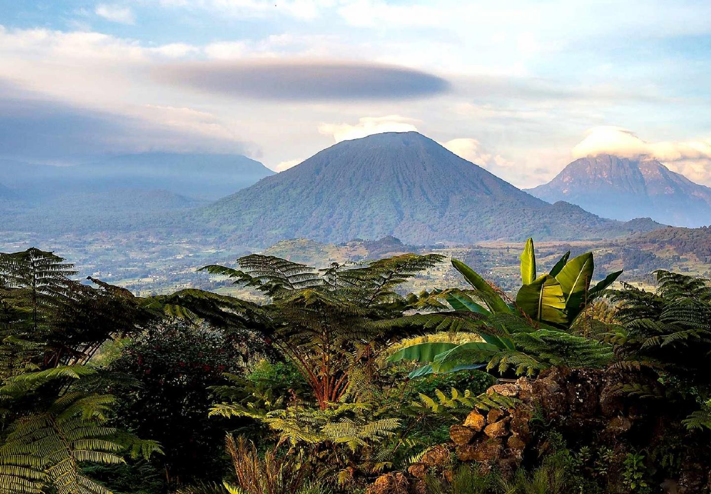 View on the Virunga Volcanoes