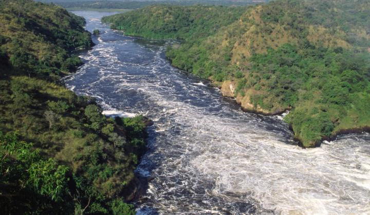 Vue on Victoria Nile (Murchison Falls National Park, Uganda)