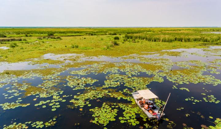 Birding on Lake Albert Swamp (Semliki National Park Uganda)