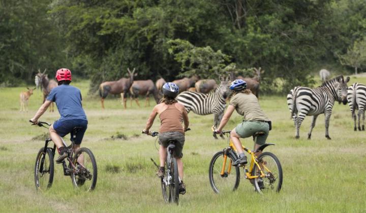 Wildlife Viewing by Bike (Lake Mburo NP Uganda)