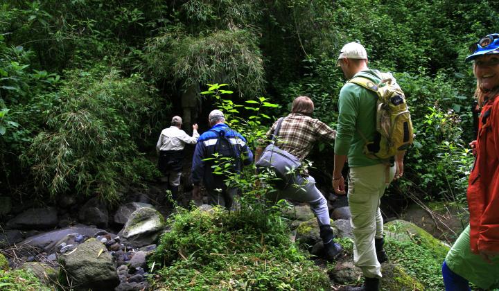 Tourists crossing small river during a hiking excursion  (Mgahinga Gorilla NP)