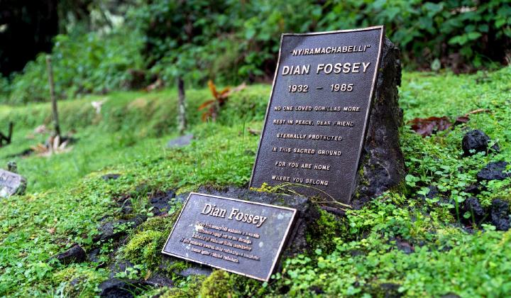 Photo of the Dian Fossey Grave (Volcanoes National Park Rwanda)