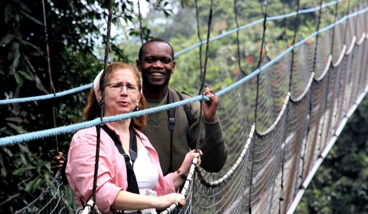Canopy Walkaway  (Nyungwe National Park Rwanda)