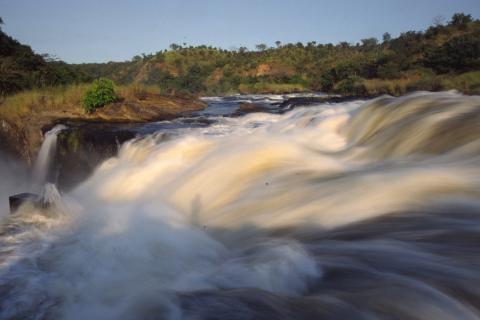 Murchison Falls National Park ( Uganda)