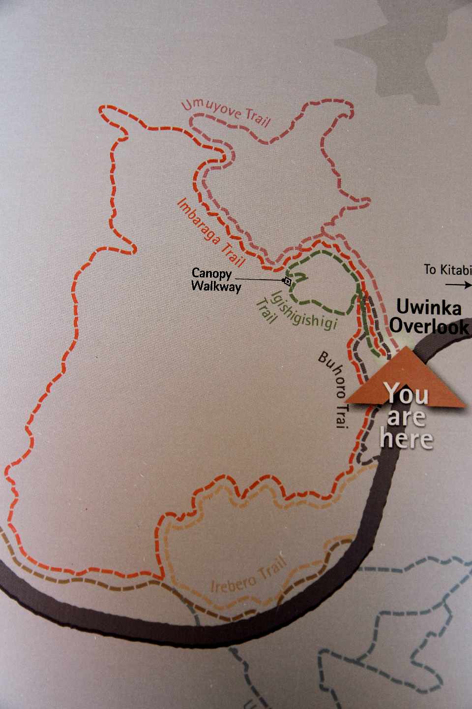 Map Walking Trails Nyungwe National Park
