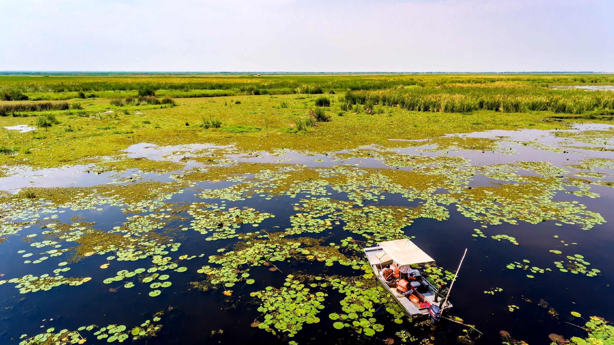Semliki National Park - Lake Albert Swamp